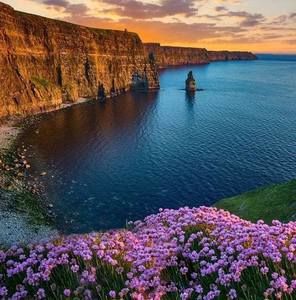 Meet your Posher, Paz